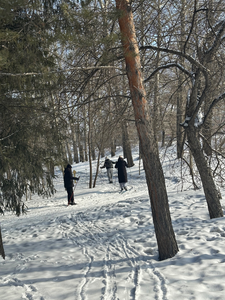 Лыжня в парке. Фото автора с сегодняшней прогулки