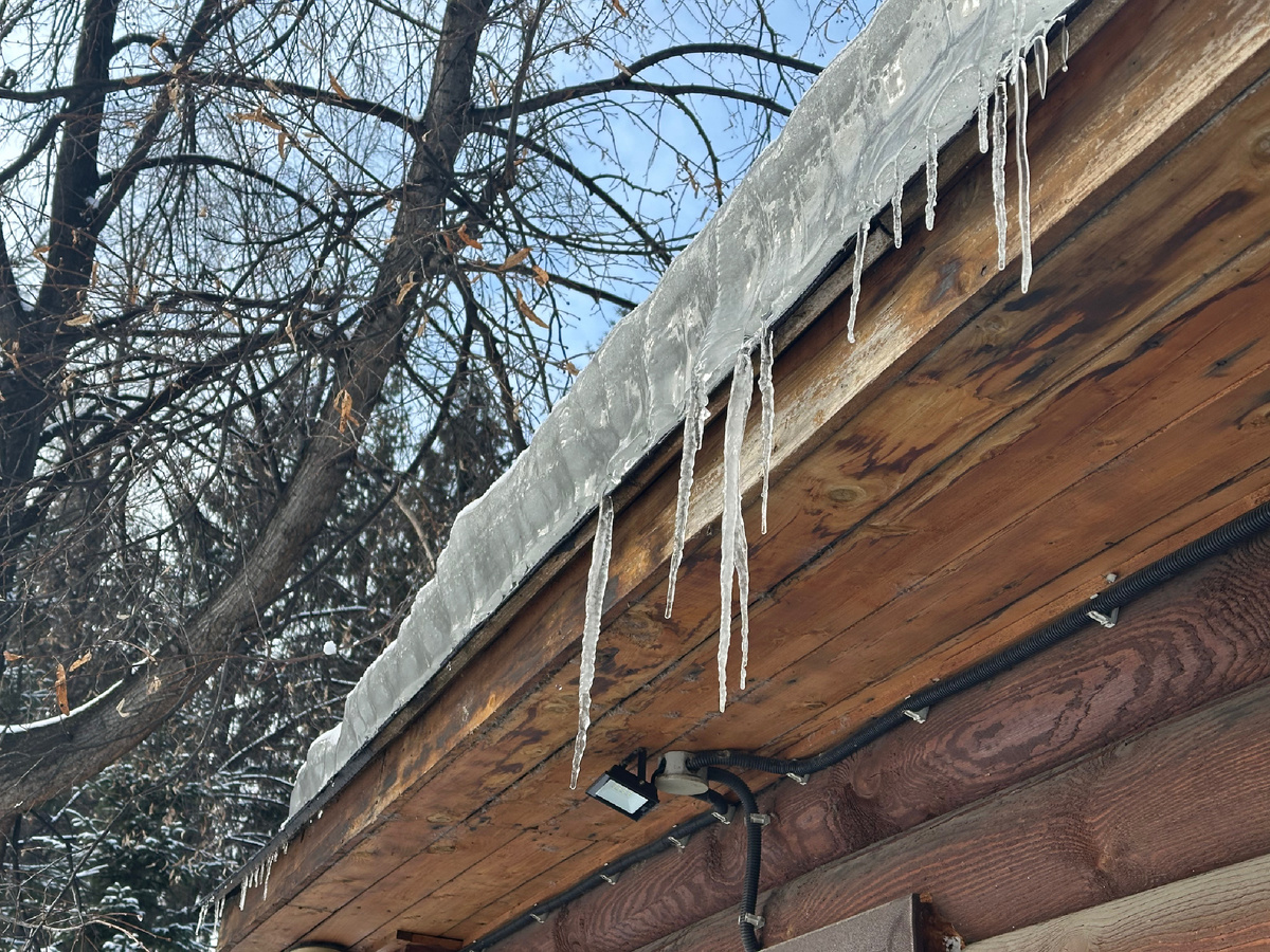 Немножко сегодняшней капели. Фото из личного архива автора
