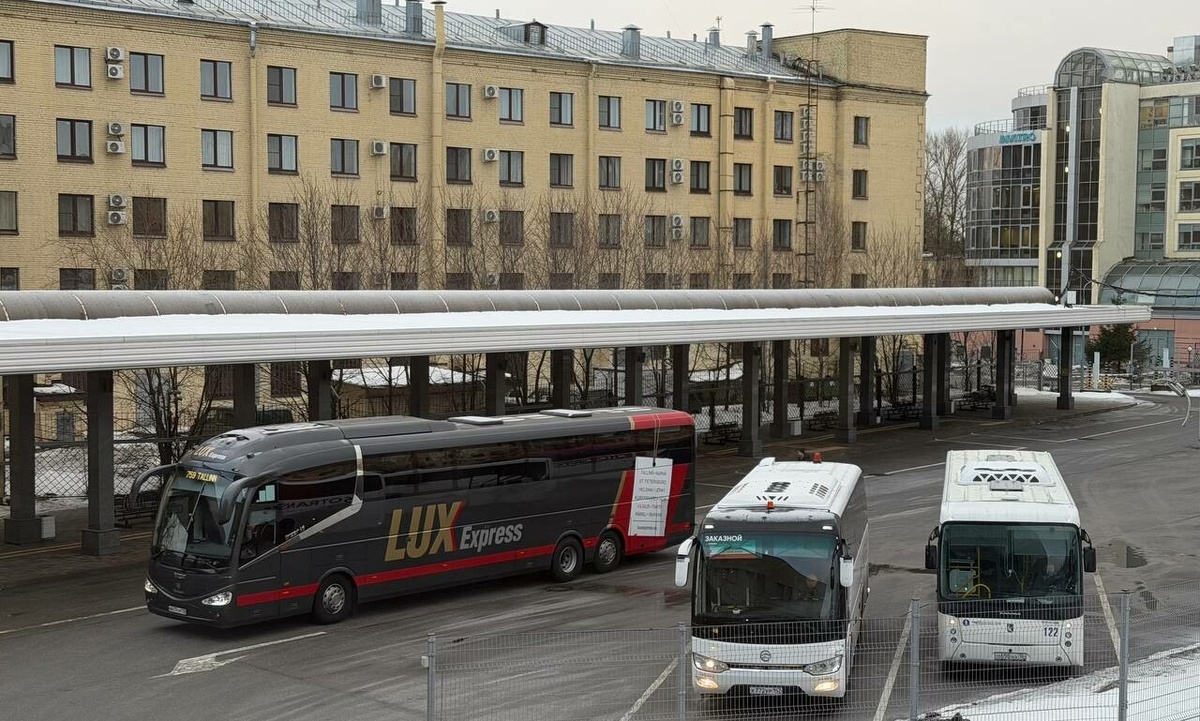 Фото: пресс-служба комитета по транспорту Петербурга