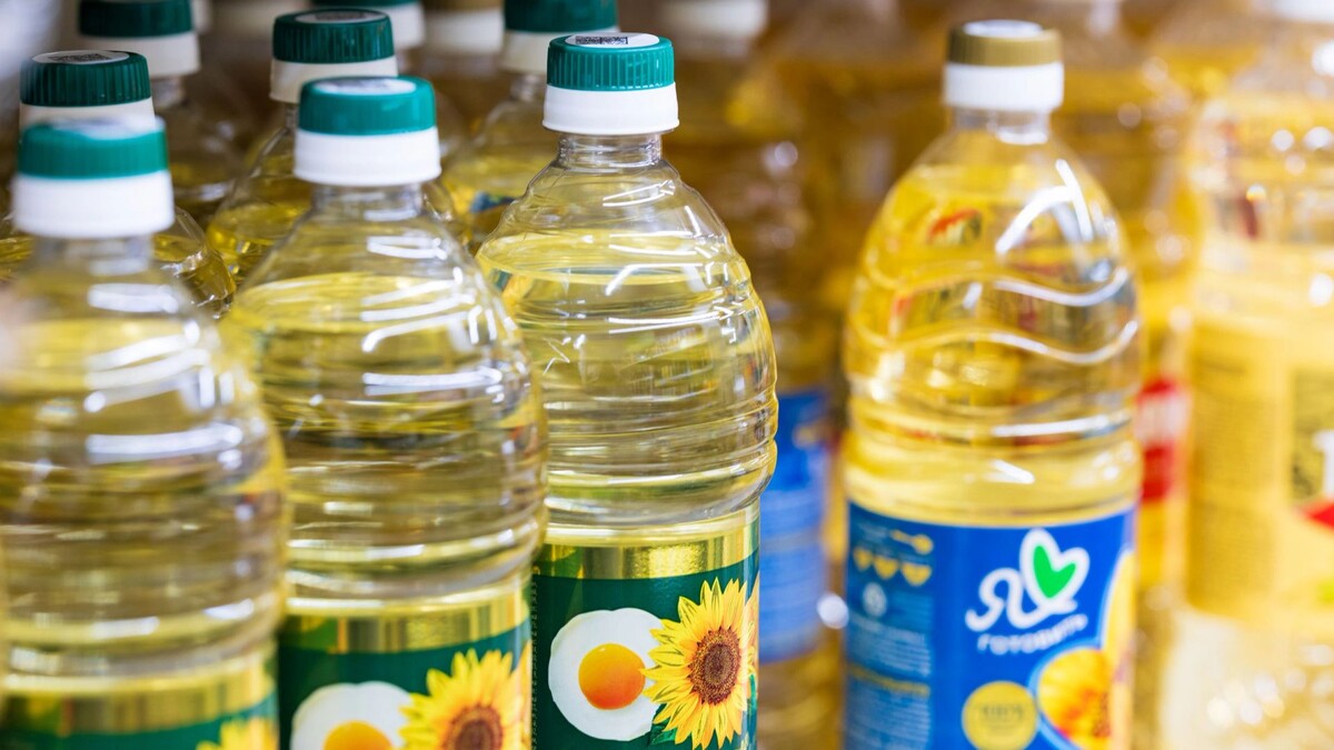    Фото: Федор Воронов/«Ямал-Медиа»