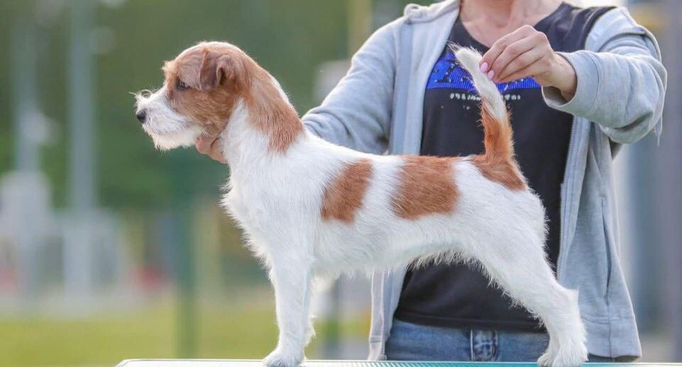    личный архив Юлии Беловой