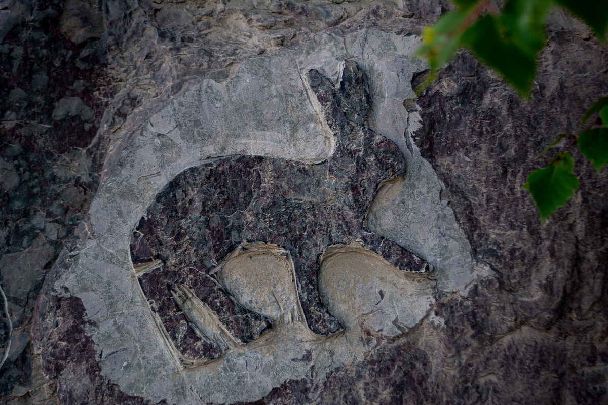 «Древний заяц»