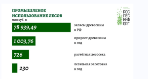    Изображение: Рослесинфорг