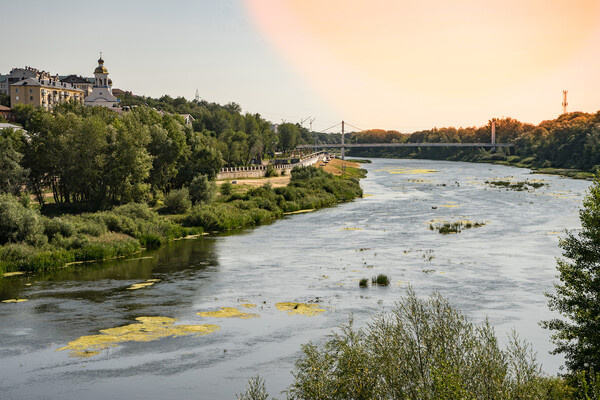 Kosmogenez/Shutterstock/FOTODOM   📷