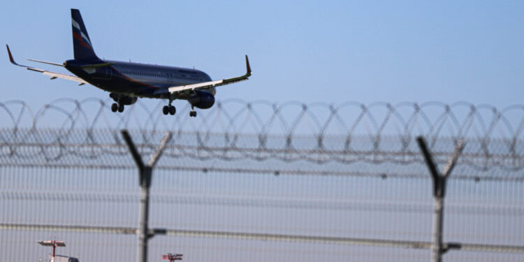    Илья Тушев / Вести Подмосковья