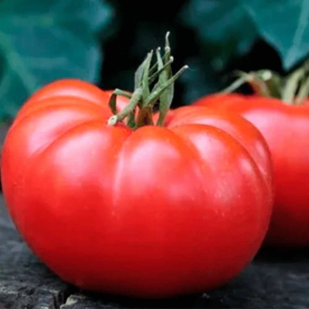 Томат Гигантелла – выбор за вид и вкус