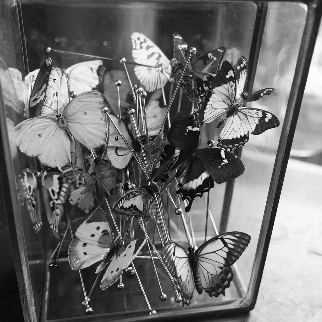 Взгляд ученого-энтомолога