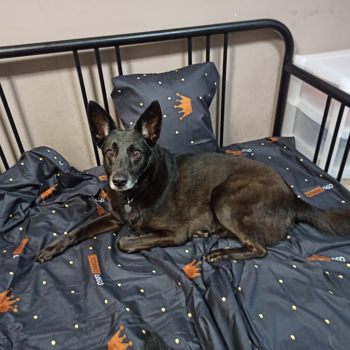 Не признаю никого дома и посадочные места закончились!