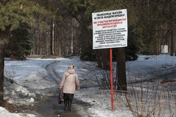    Фото Андрея Заржецкого