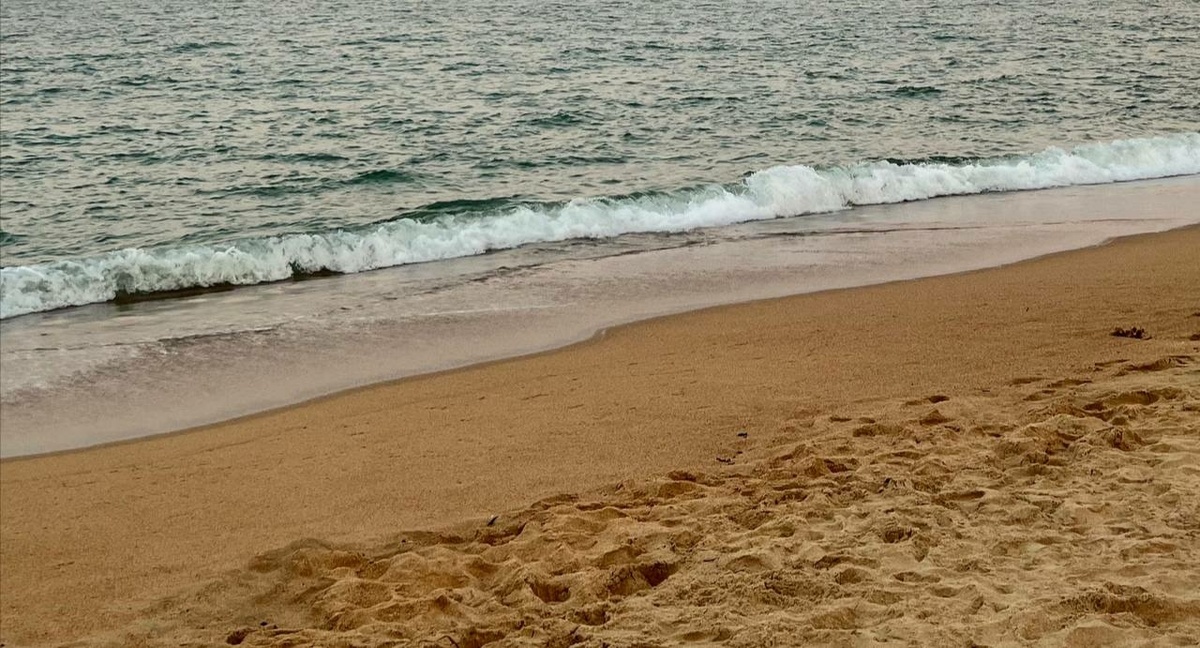 Фото: Neva.Today/Дарья Вовк