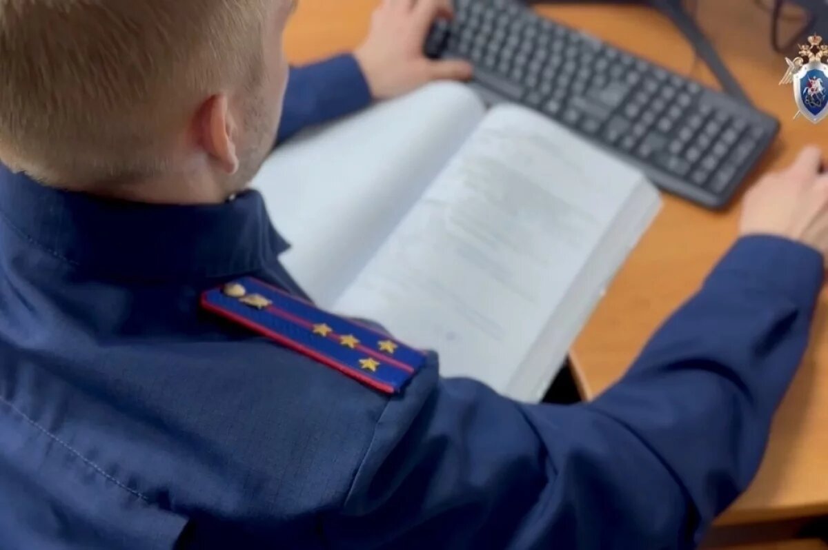    Бастрыкин запросил новый доклад по делу о застройке в Нижней Ельцовке