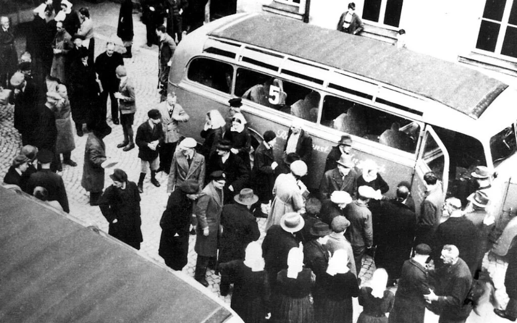 Фото из свободных источников.