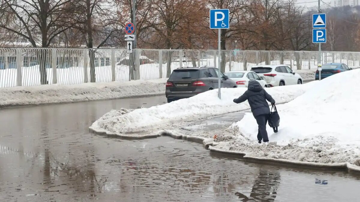     © АГН "Москва"