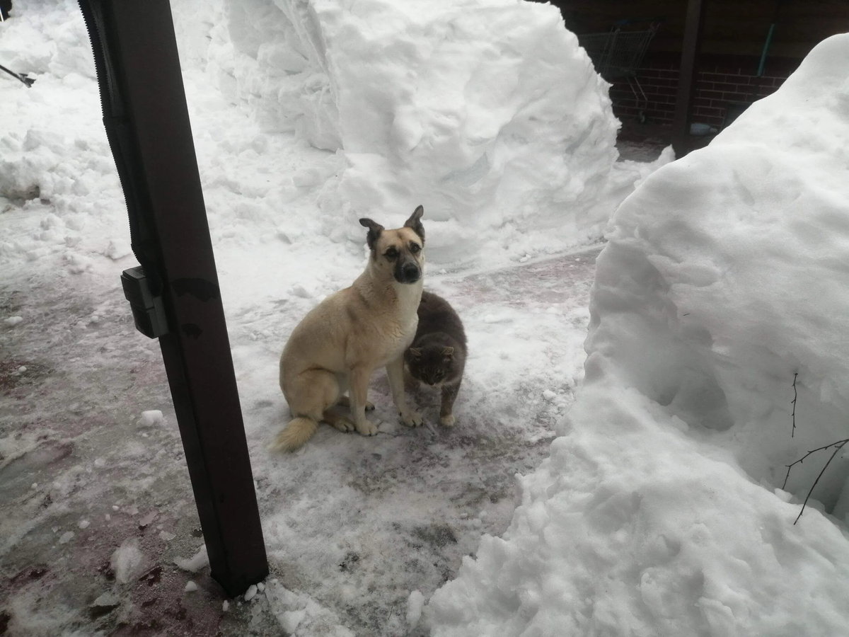 Фото автора 03.03.2:6.