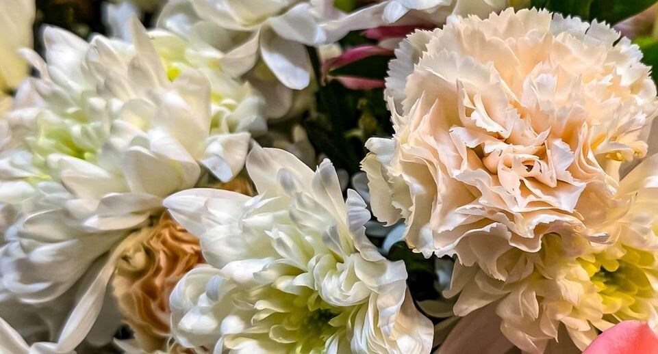    REGIONS/Дарина Левкина