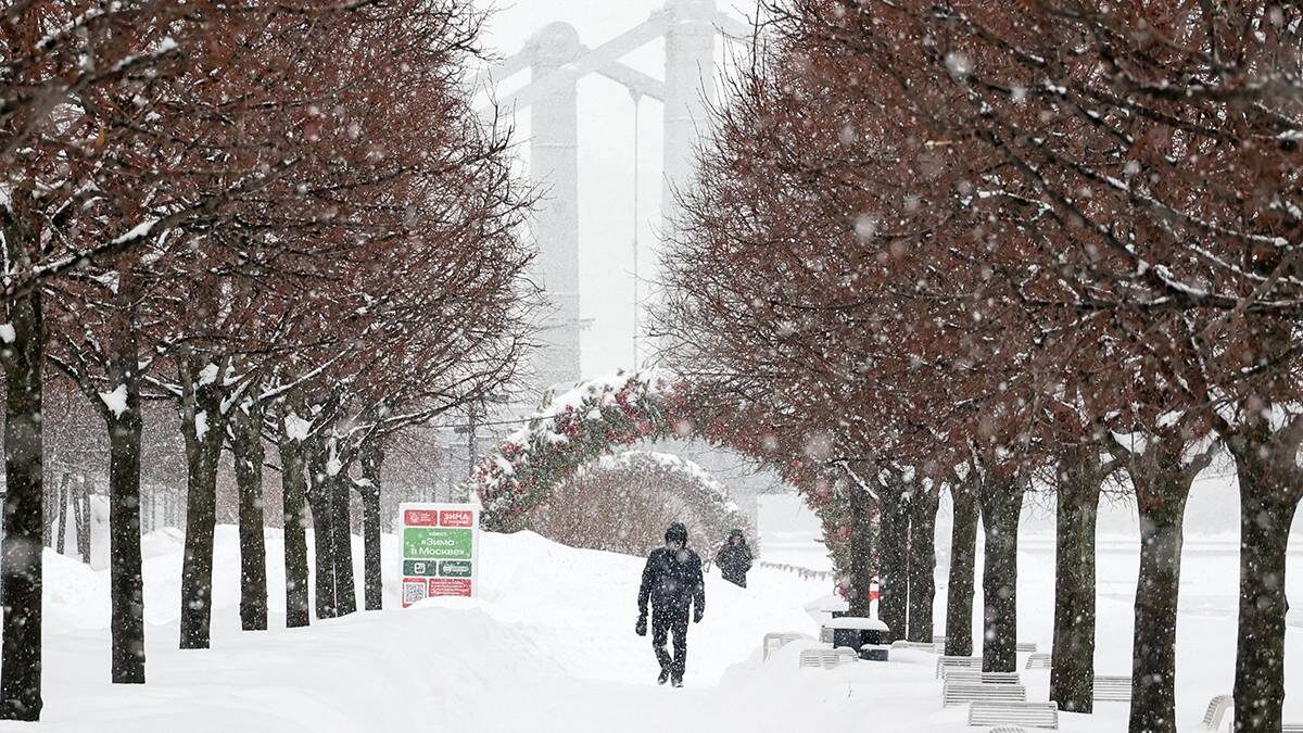    Фото: Ярослав Чингаев / АГН Москва
