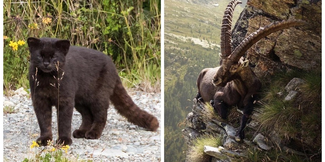 25 фотографий, после просмотра которых захочется купить палатку и уехать в лес