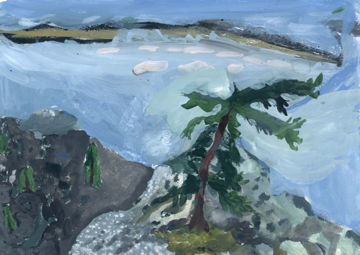     Тунгусский заповедник. Детский рисунок   
© ИА Красная Весна https://rossaprimavera.ru/article/66206d35