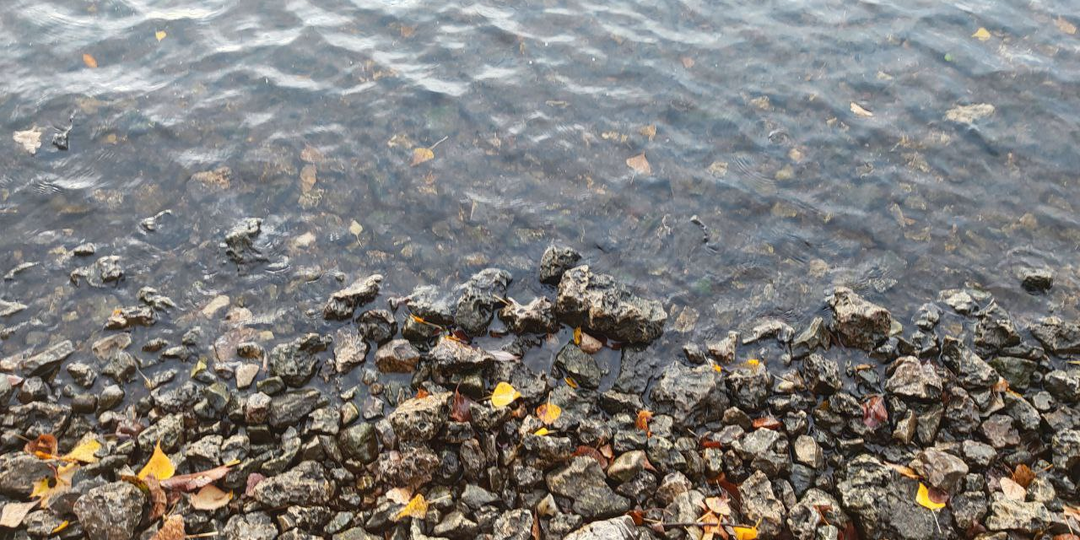 Отличница всегда и везде. Глава 4.