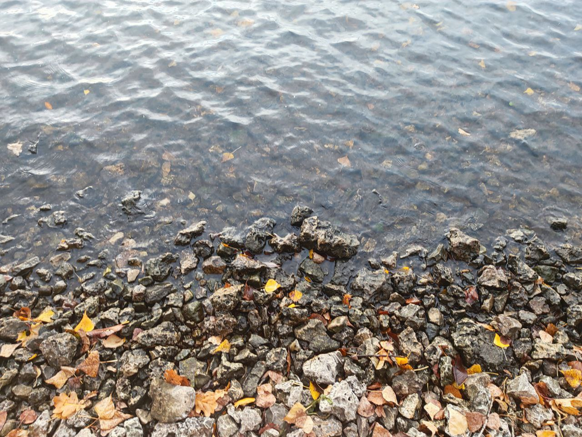 Фото автора.