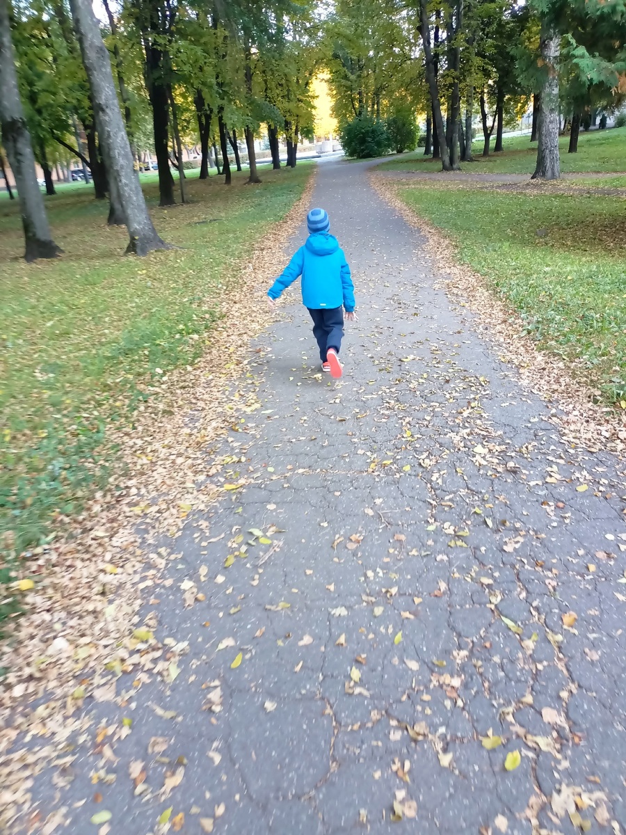 Гулять ходим в парк, он в 10 минутах ходьбы от нашего дома.