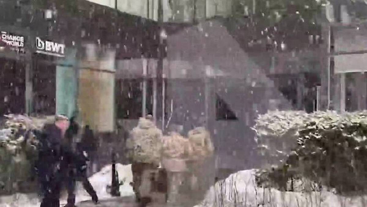    Фото: скриншот видео / РЕН ТВ / Telegram