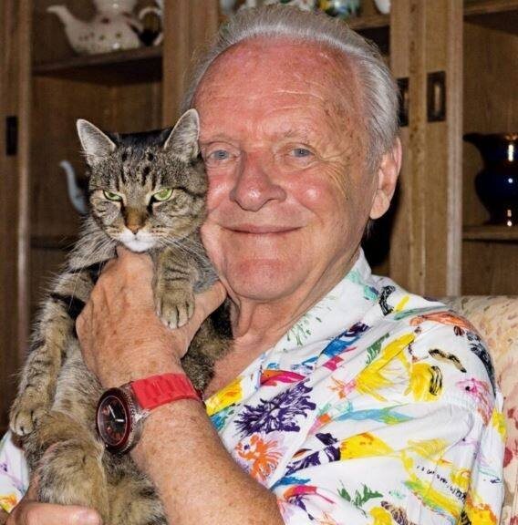 Фото в открытом доступе