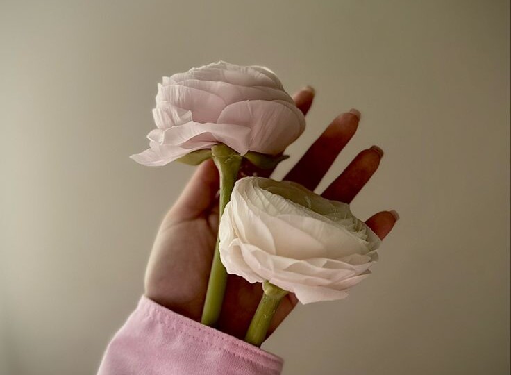 Какой ты цветок по знаку зодиака? Но 8 марта все цветы будут твои!⋆｡🌷