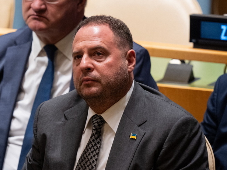     фото: Lev Radin/Keystone Press Agency/Global Look Press