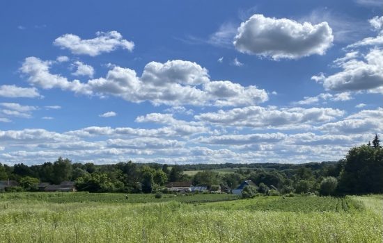    Фото: ИА "Орелград", автор Светлана Числова