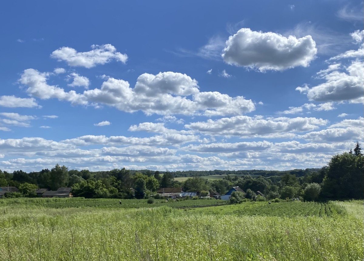    Фото: ИА “Орелград”, автор Светлана Числова