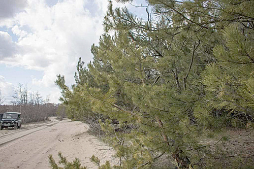    /  ФОТО donland.ru Администратор