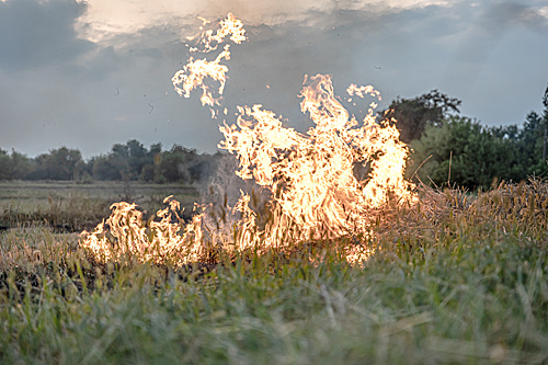    /  ФОТО для иллюстрации freepik.com Администратор