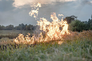 /  ФОТО для иллюстрации freepik.com Администратор  📷
