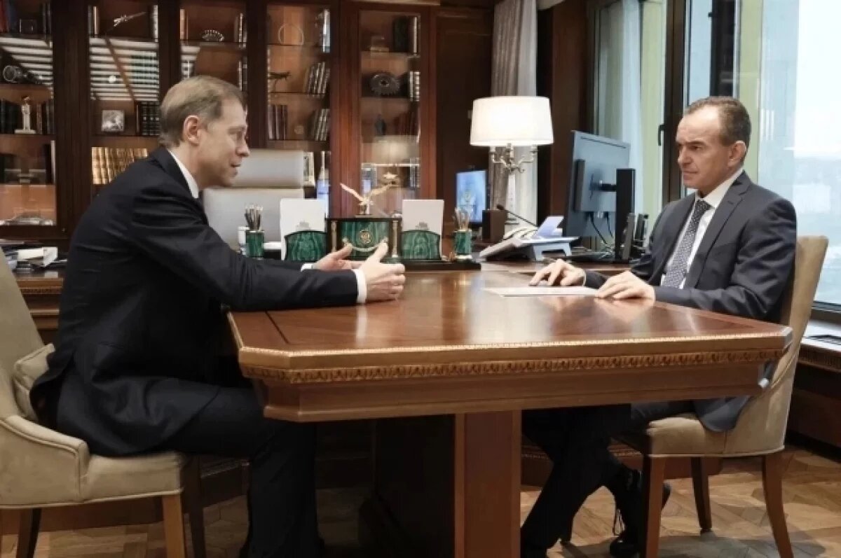    Девять импортозамещающих проектов запустят в 2026 году на Кубани