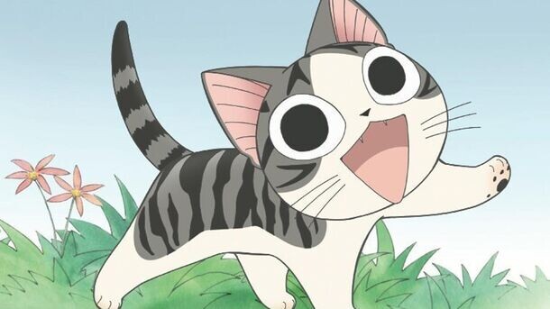 Изображение взято из открытых источников