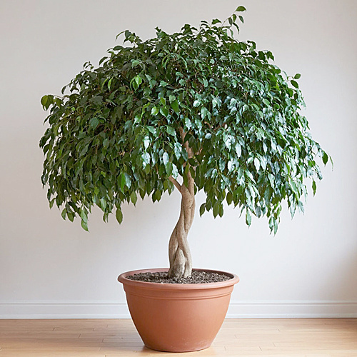    /  ФОТО сгенерировано ИИ Администратор