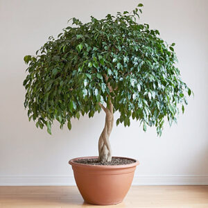 /  ФОТО сгенерировано ИИ Администратор  📷
