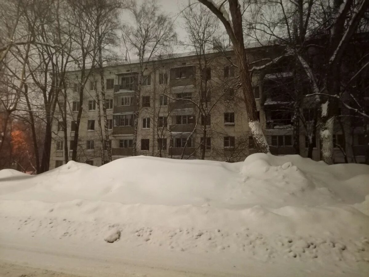 Дома, где когда-то жили люди, и вместе с ними кошки...