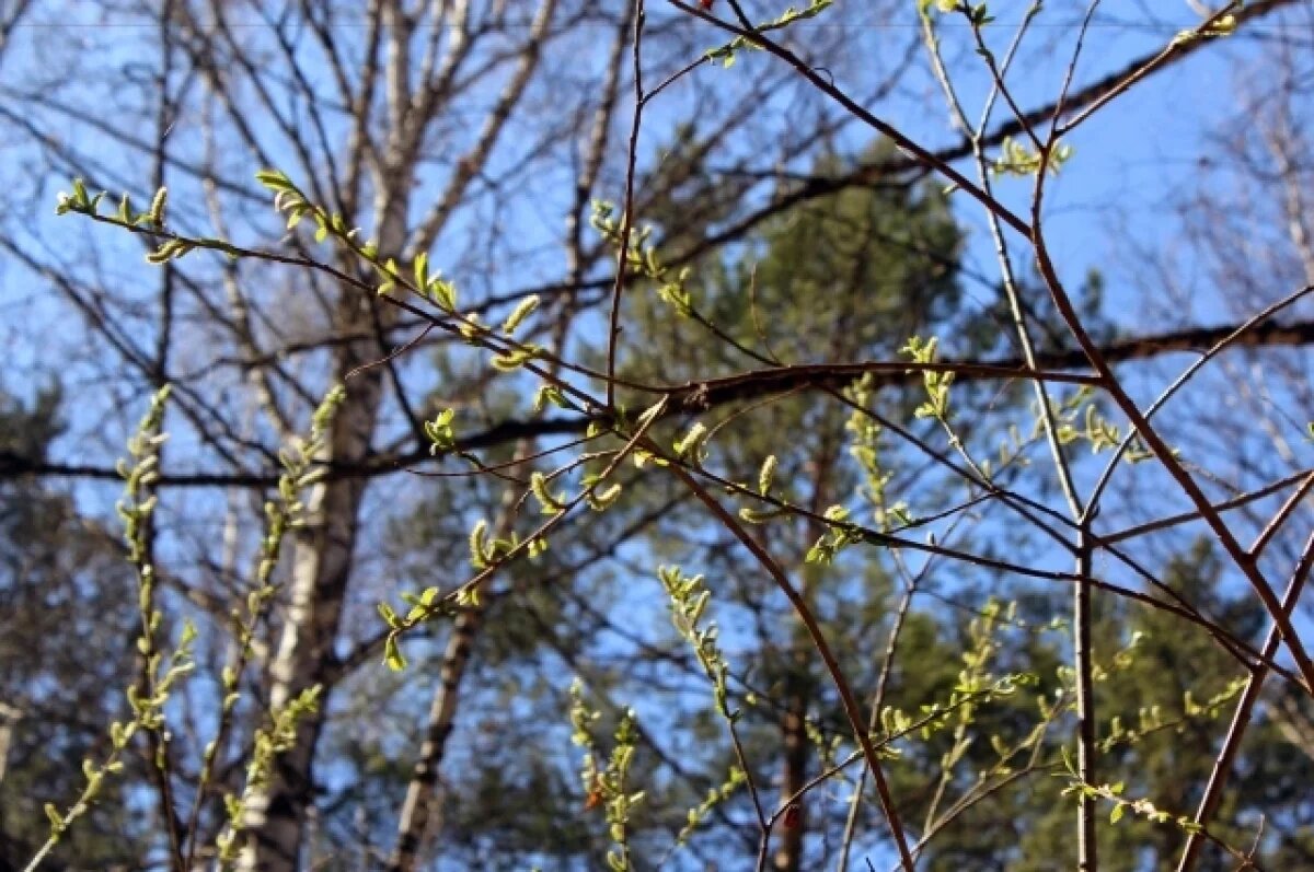    Плюсовая температура вернется в Нижний Новгород во второй декаде марта