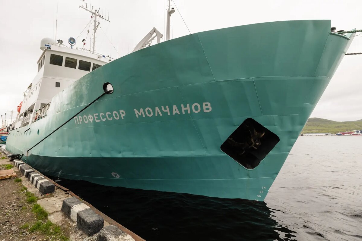     Научно-исследовательское судно "Профессор Молчанов" стоит под загрузкой в порту Мурманск. © РИА Новости. Дмитрий Дубов