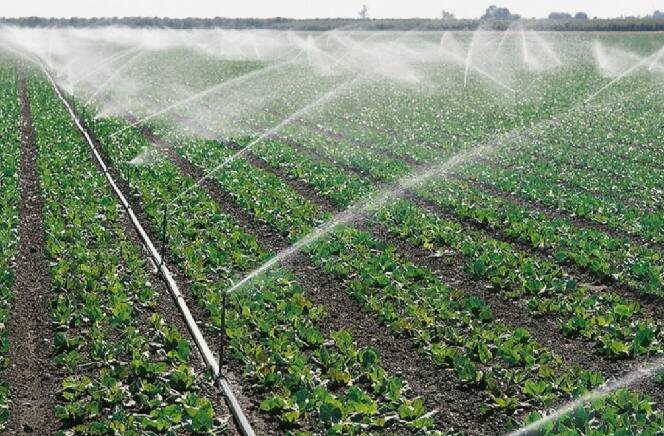 Фото: аграрный сектор