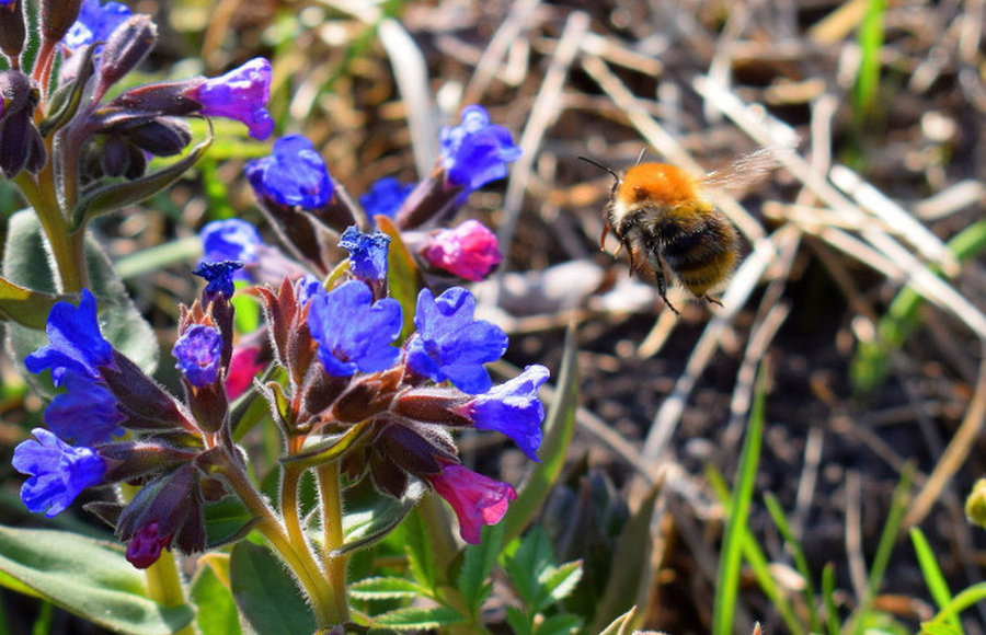    Фото: пресс-служба УрГПУ