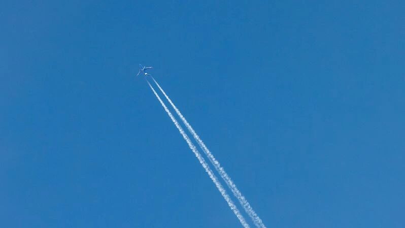    Фото: Федор Воронов/«Ямал-Медиа»