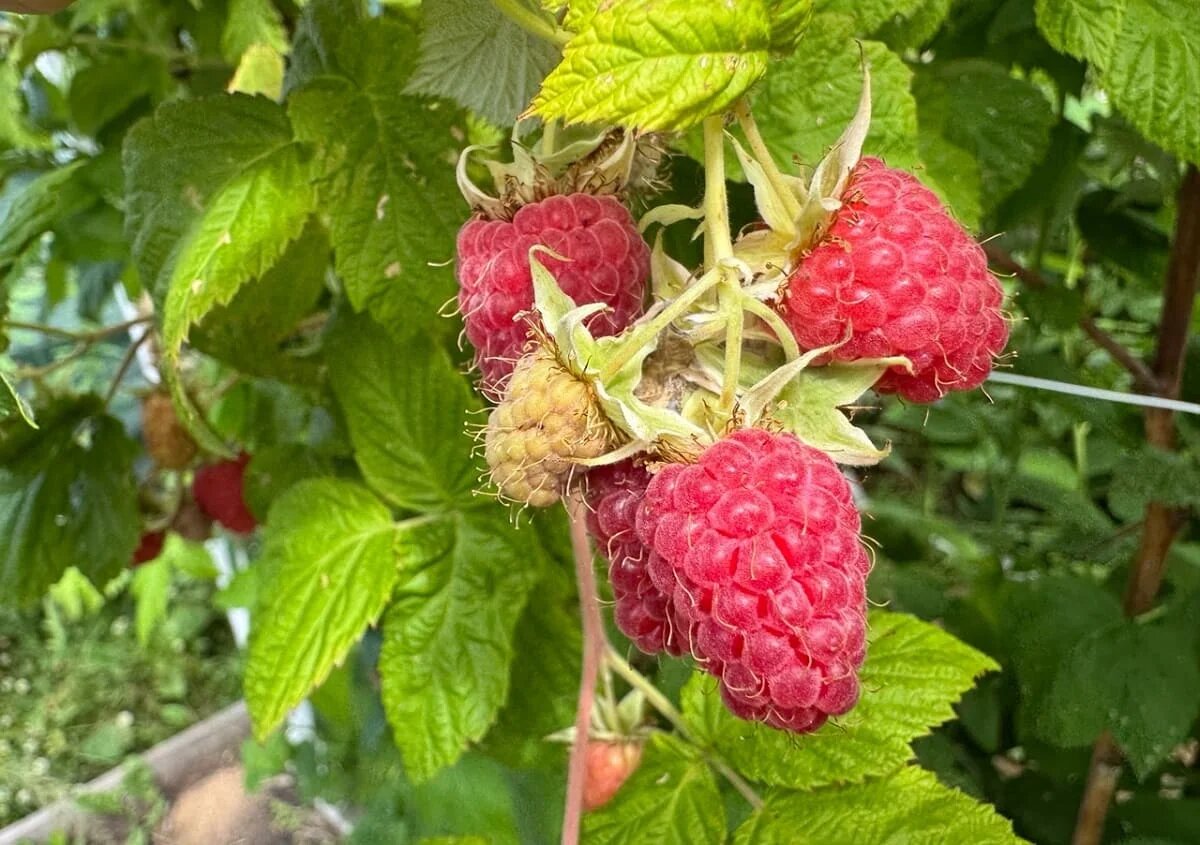 Фото: UfacityNews.ru