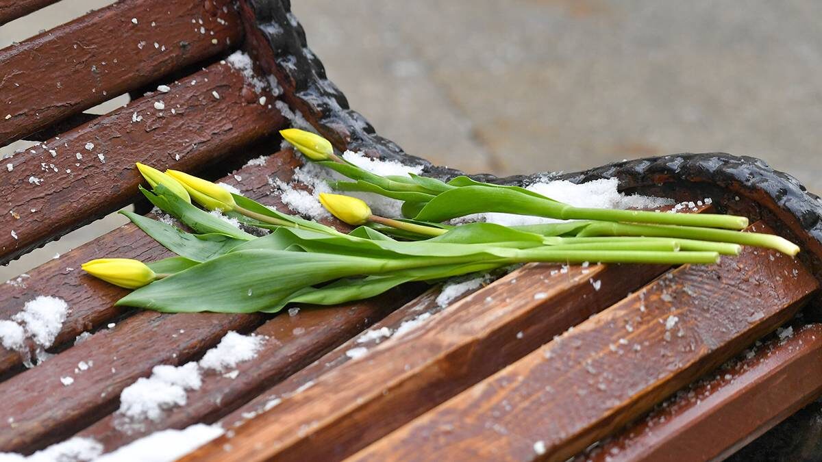    Фото: Сергей Киселев / АГН Москва