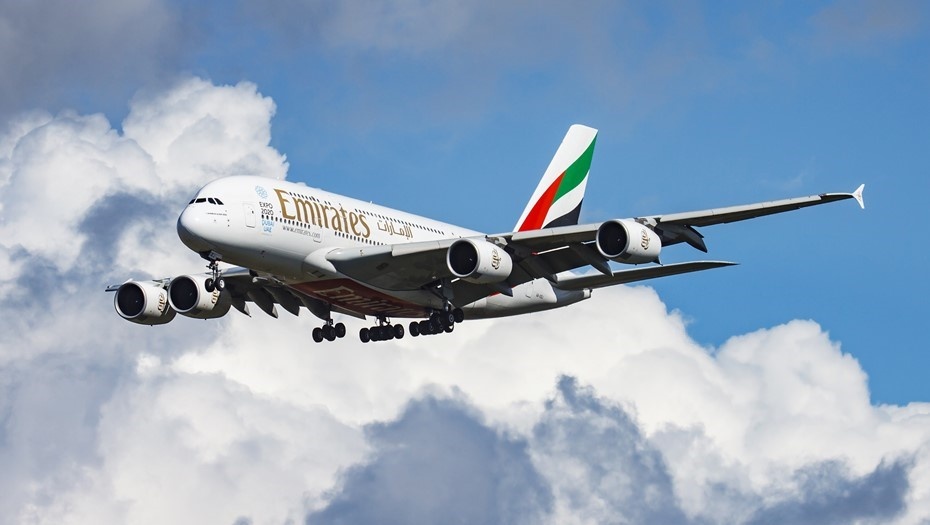    Автор фото: Soos Jozsef/Shutterstock/FOTODOM