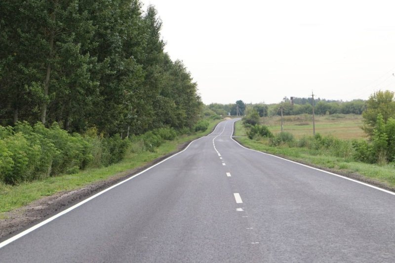     © фото - Министерство транспорта и автомобильных дорог Курской области в ВК