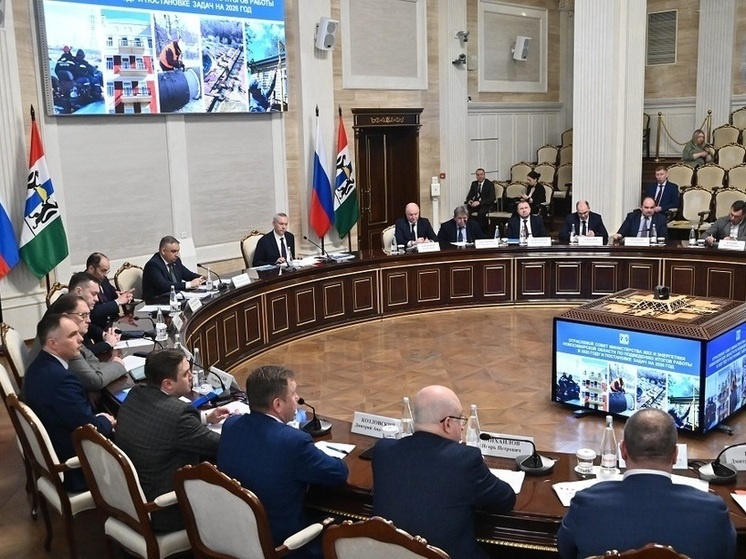     Фото: правительство НСО