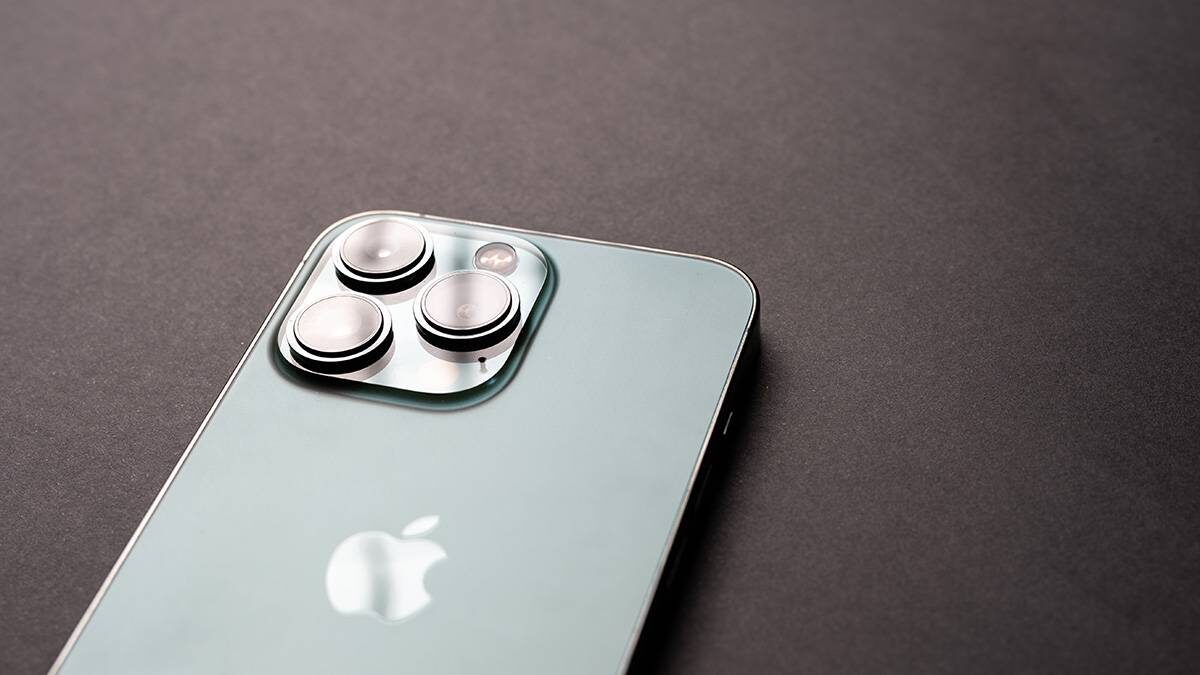    Фото: Shutterstock